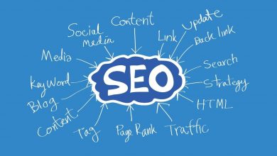 SEO service in Jaipur