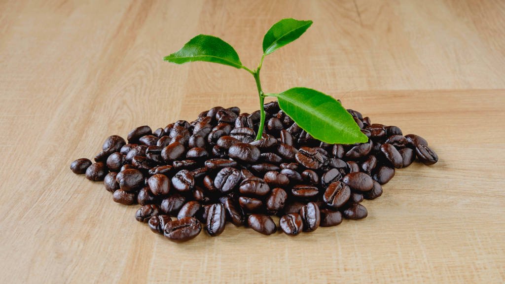 organic coffee market