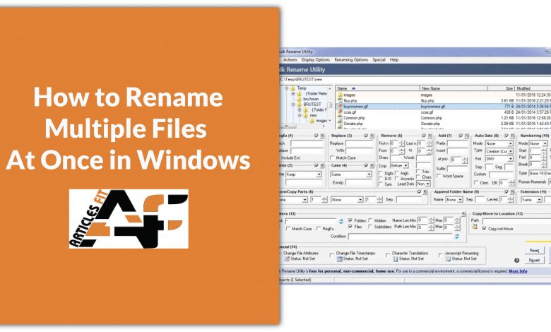 How To Rename Multiple Files At Once In Windows Articles Fit