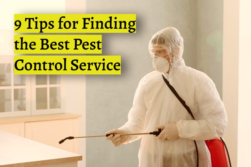 Pest Control Service