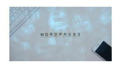 WordPress development company