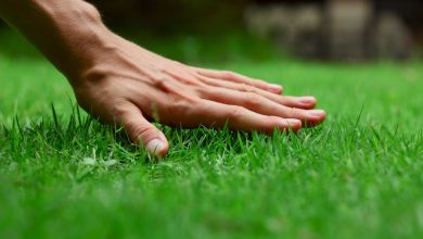 artificial grass installation cost