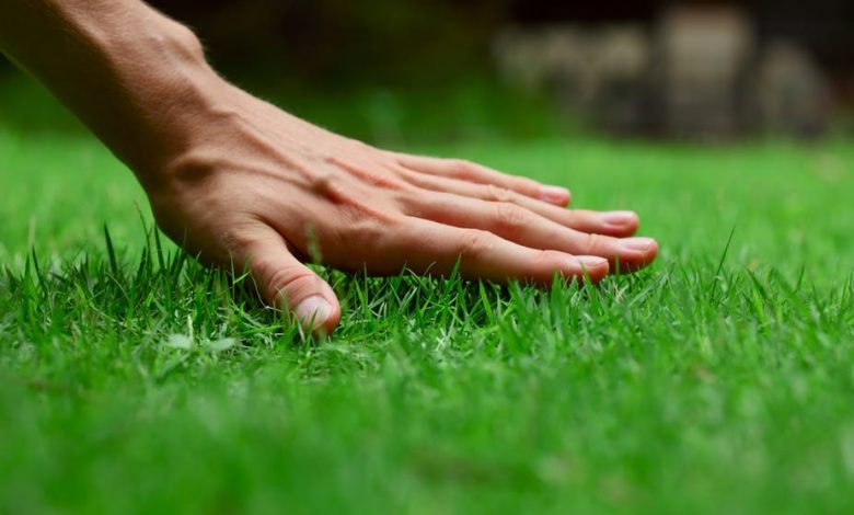 artificial grass installation cost