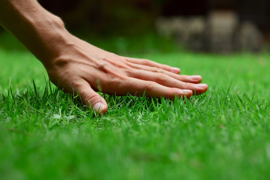 artificial grass installation cost