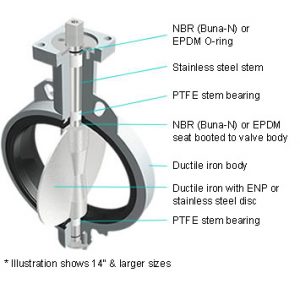 Butterfly Valve