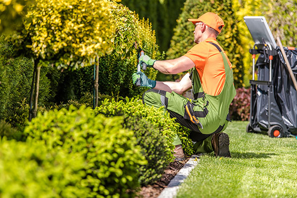 Best Landscape contractor