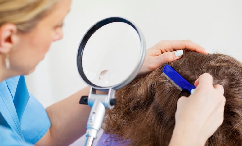 Most Common Myths and Legends People Hold About Best Lice Treatment for Kids