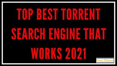 torrent search engine