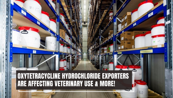 Oxytetracycline Hydrochloride Exporters