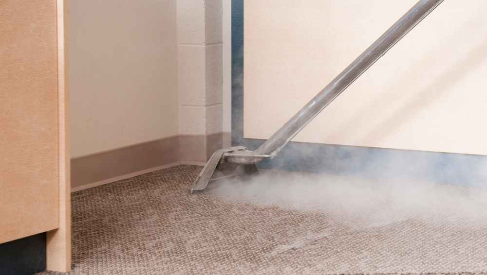 Steam cleaning the carpet