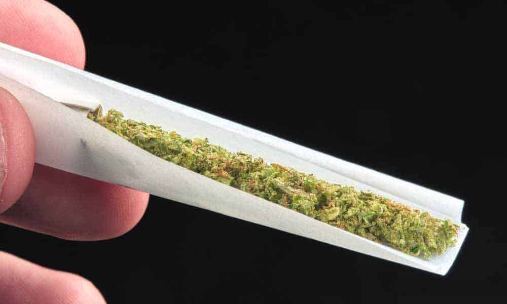 See How Rolling Papers Made of