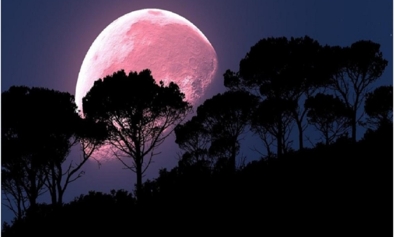 PINK MOON AT DAWN