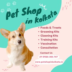 adopt a puppy from our pet shop in Kolkata