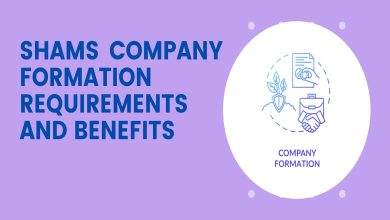 SHAMS Company Formation