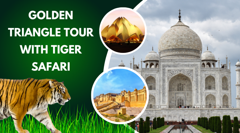 Golden Triangle Tour with Tiger Safari