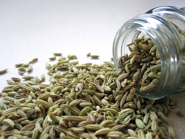 benefits of fennel seed