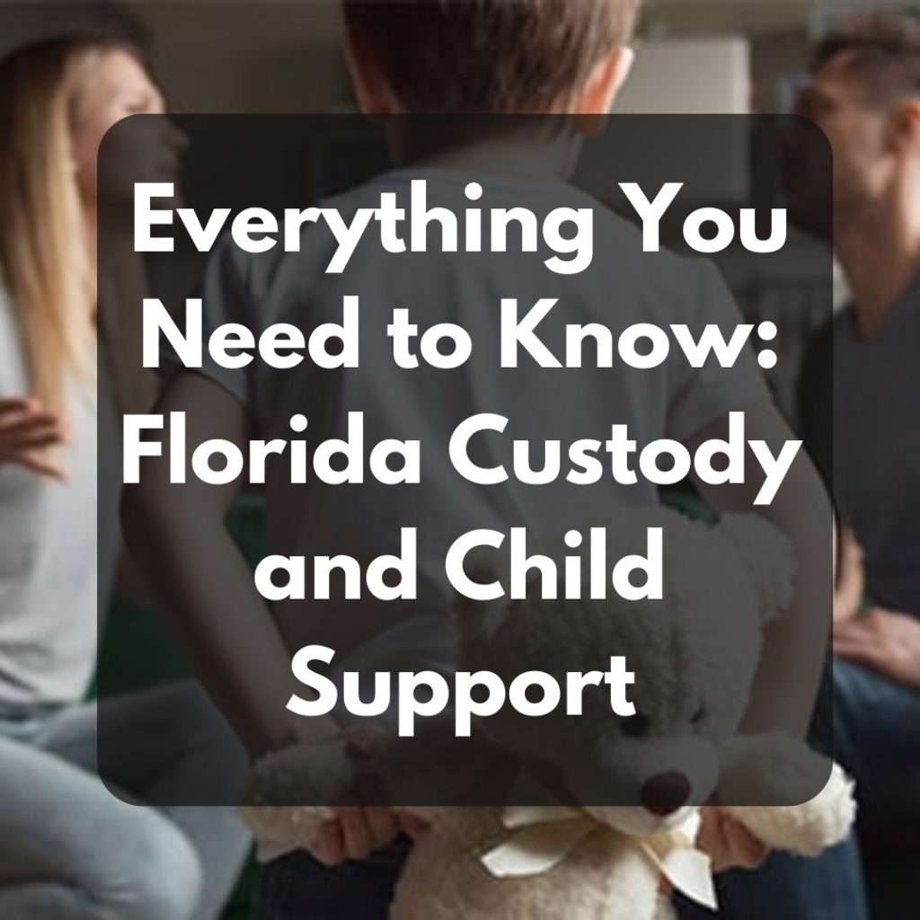 Everything You Need to Know Florida Custody and Child Support