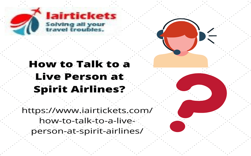 spirit airlines talk to the person