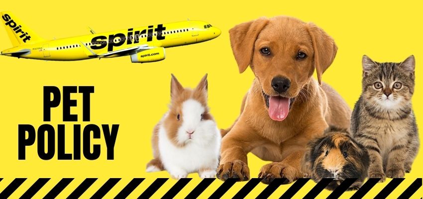 Spirit Airlines Customer Service Number