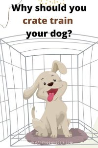 Why should you crate train your dog?