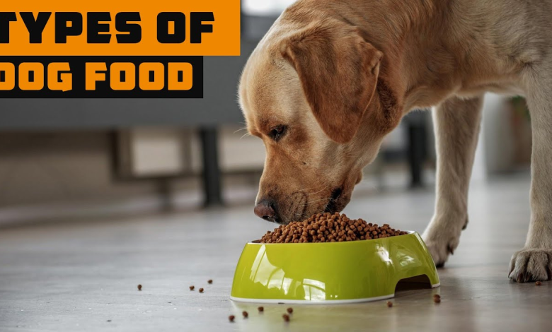 dog food online