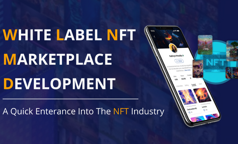 white label NFT marketplace development