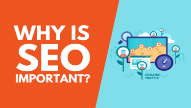 Why SEO is Important for Your Business?